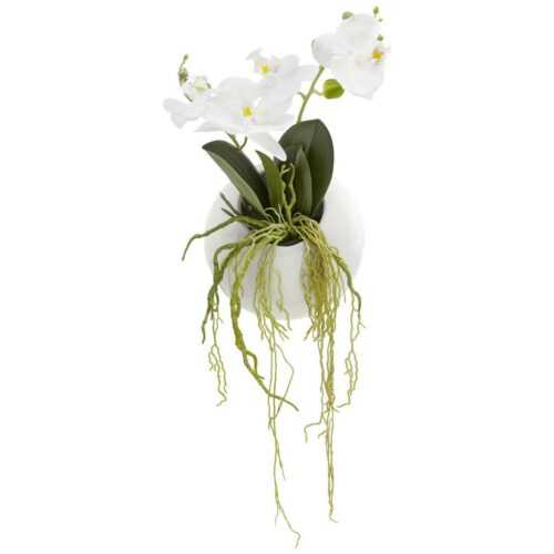 umělá Rostlina Phalaenopsis Ii
