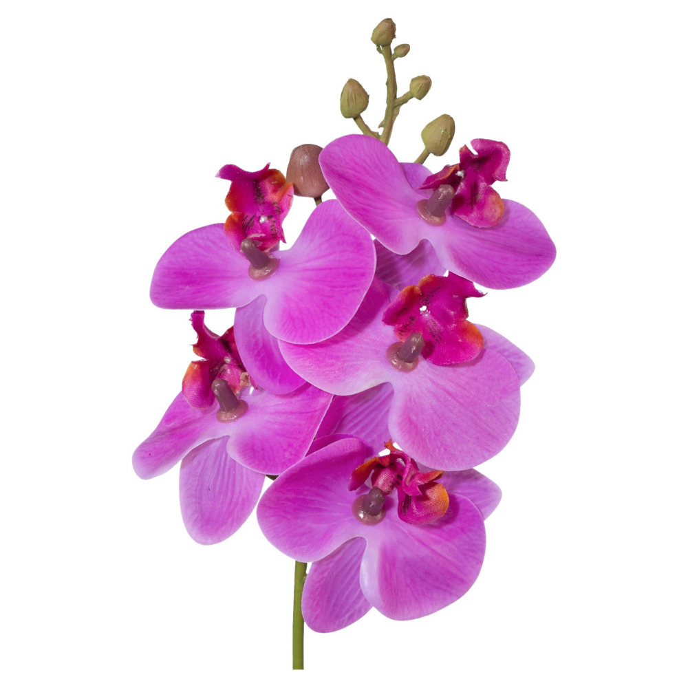 Umělá Rostlina Phalaenopsis